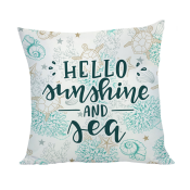 Peach Skin Pillow Cover